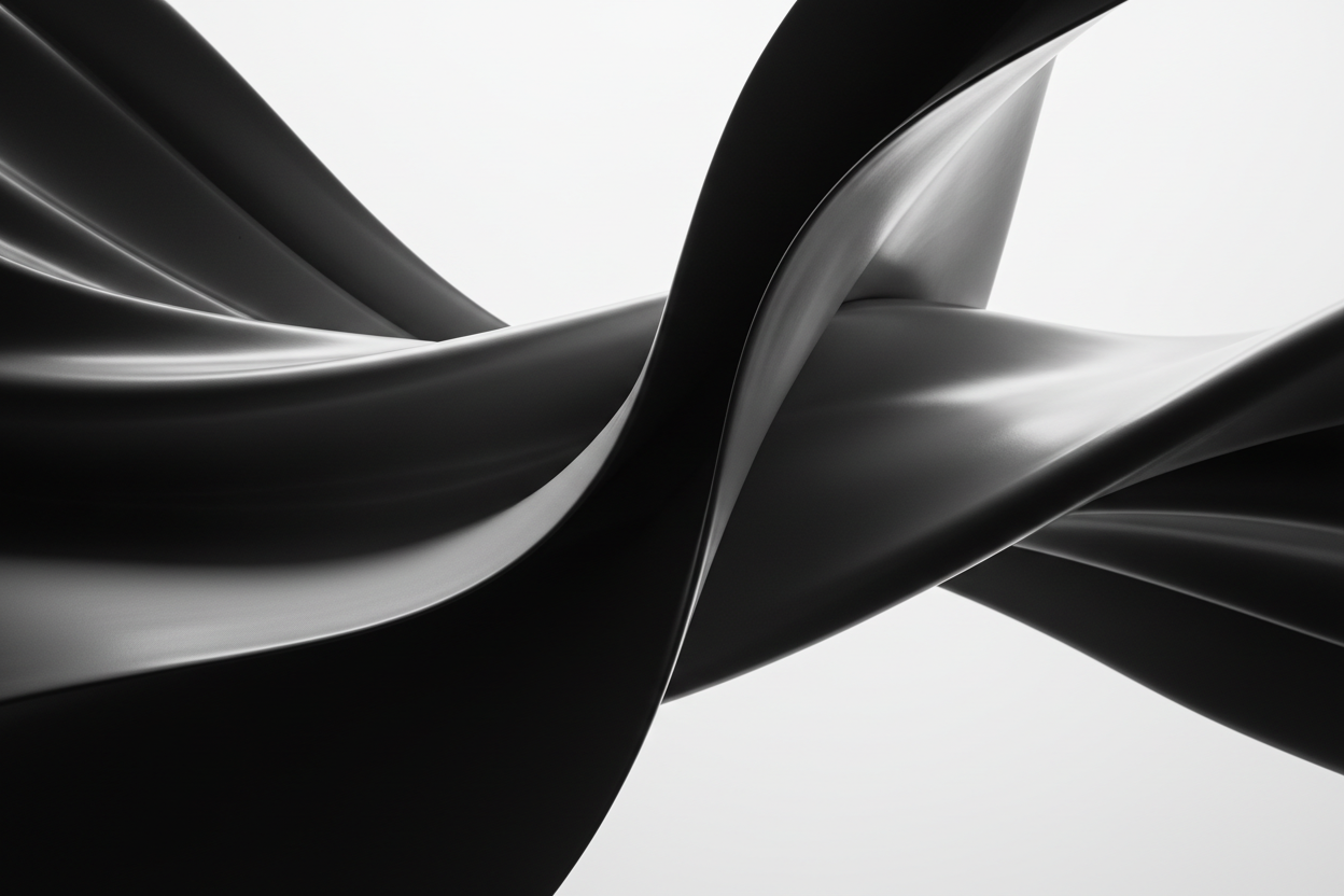 black and white image 